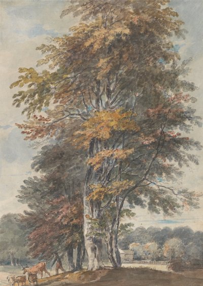 Landschaft mit Buchen und einem Mann, der Rinder und Schafe treibt von Paul Sandby